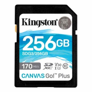 Canvas SDカード (D: 256GB, Canvas Go Plus (UHS-I、V30対応))