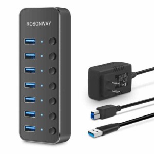 ROSONWAY USB ハブ 3.0 電源付き 7ポート (7ポート)