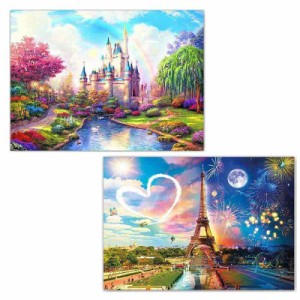 2セットのアクセサリーツール付きダイヤモンド絵画、30x40cm 5D DIYダイヤモンド絵画写真セットクリスタルラインストーン刺?絵画工芸品家