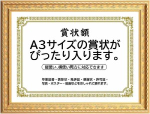 賞状額縁 高級 フォトフレーム 写真入れ 写真立て A4・A3サイズ 壁掛け 縦横対応 寄せ書き 功労賞 認定書 感謝状 修了書 卒業証書 表彰状