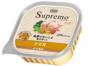 Nutro ニュートロ シュプレモ 子犬用 トレイ 100g×24個(まとめ買い) ドッグフード