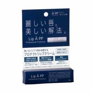 高保湿 リップクリーム Lip ? P.P. リップエー プロフェッショナルプロテクション メンズ レディース (ノーマル)