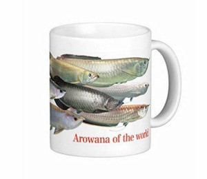 世界のアロワナのマグカップ：フォトマグ（世界の熱帯魚シリーズ）