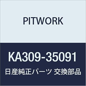 PITWORK(ピットワーク) 5YEARS COAT メンテナンスクリーナー(業務用) 350ml KA309-35091