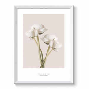 ポスター アートポスター A4 北欧 花 木 植物 ラナンキュラス おしゃれ インテリア モノクロ フレームなし 034 (A4サイズ（210×297mm）