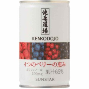 健康道場 4つのベリーの恵み 160g ×30本