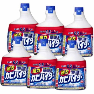 【ケース販売】 ワイドハイター 強力カビハイター カビ取り剤 ハンディスプレー つけかえ 大容量 1000ml×6個