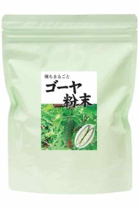 自然健康社 ゴーヤ粉末 380g ゴーヤ茶 ゴーヤパウダー 無添加 国産 サプリメント