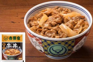 ショッピングギャラリーストアーズ 吉野家 冷凍 牛丼の具 １２食 セット （120gx12P）