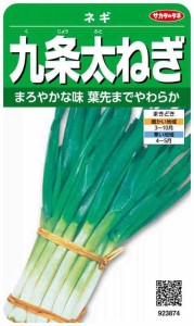 サカタのタネ 実咲野菜3874 九条太ねぎ ネギ 00923874