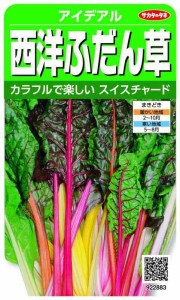 実咲野菜 アイデアル 西洋ふだん草 スイスチャード 小袋002963