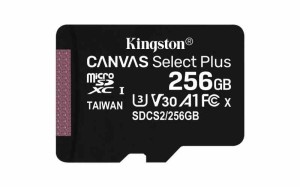 キングストン microSD (4) 256GB)