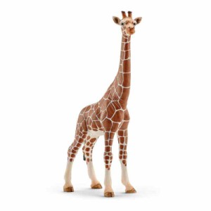 シュライヒ(Schleich) ワイルドライフ キリン (メス) フィギュア 14750