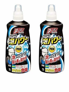 【まとめ買い】サニボン パイプ泡パワー 排水パイプのつまりや悪臭をスッキリ解消 本体 400ml × 2個