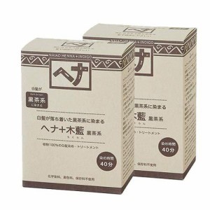 Naiad(ナイアード) ヘナ+木藍 黒茶系 100g × 2個セット