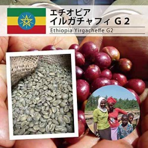 松屋珈琲　コーヒー生豆　エチオピア イルガチャフィG2 (1キログラム (x 1))