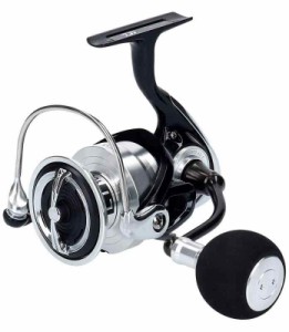 ダイワ(DAIWA) スピニングリール 19 レグザ LT5000D-CXH(2019モデル)