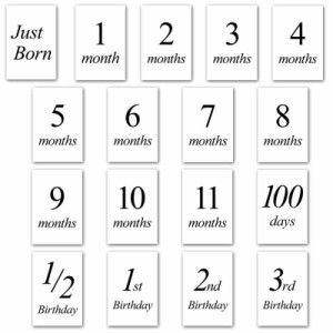 【Babystity】月齢フォト カード マンスリーカード 17枚 赤ちゃん 写真 (モノクロ)