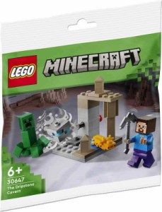 レゴ（LEGO) マインクラフト 鍾乳洞 ミニセット 30647