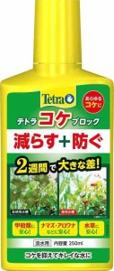 テトラ (Tetra) コケブロック 250ml コケ抑制 既に生えているコケ対策 これから生えるコケの予防 甲殻類も安心 ナマズ アロワナなどにも