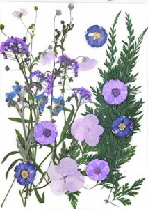 DIY用 押し花 ドライフラワー ブリザードフラワー 紫、薄紫、白ミックス