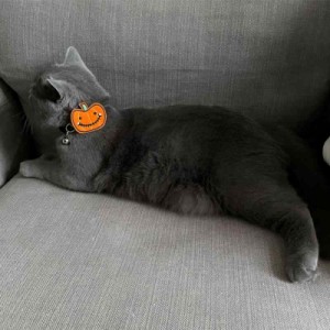 MEIAOJIA 猫首輪 ハロウィン カボチャ 変顔カボチャ お笑い ホラー ネコの首輪 猫カラー 布製 サイズ調節可能 ペット首輪 (ほほえみカボ