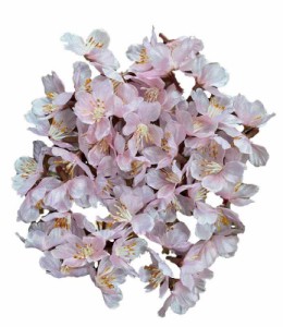 東京堂 造花 MAGIQ 薄紅の桜 落ち輪 ピンク花径３．５×Ｌ２．５ｃｍ FM007045-zzz