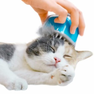 猫 ブラシ 猫ちゃんのご褒美エステ キャンディ・ブラシ (Sea Salt Blue)