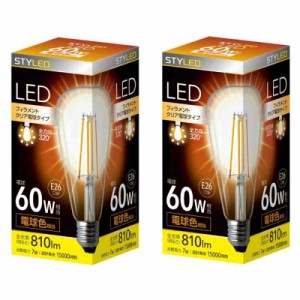 LED電球 クリア電球 E26 (ST64形60W)