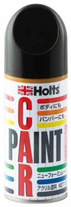 ホルツ ペイント塗料 補助スプレー カーペイント つや消し黒 A-9 180ml Holts MH009