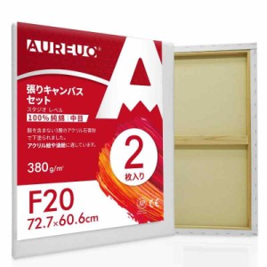 AUREUO 張りキャンバス セット 大きいサイズ 中目 100％コットン 初心者 絵画用具 芸術絵創作 現代油絵 美術装飾 水彩画・油絵画・アクリ