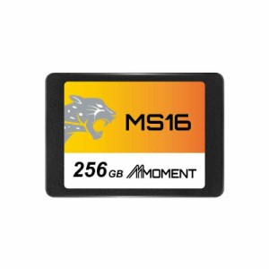 MMOMENT MS16 2.5インチ & M.2 2280 SATA (2.5インチ, 256GB)