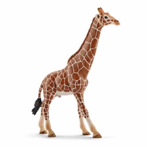 シュライヒ(Schleich) ワイルドライフ キリン (オス) フィギュア 14749