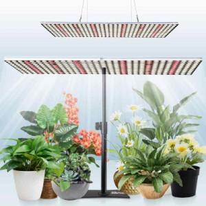 JCBritw 200W 植物育成ライト スタンド付き LED 白いフルスペクトルLED植物ライト 室内栽培 苗木栽培 顕花植物栽培向け水耕栽培ランプ 野