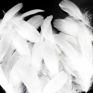 50枚入り 羽根 羽 フェザー ガチョウの羽 装飾用羽根 DIY 工芸品 ホワイト (ホワイト)