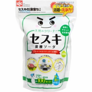 セスキの激落ちくん セスキ炭酸ソーダ S-676(500g)[洗濯洗剤(粉末)]