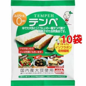 テンペ(100g*10コセット)[乾物・惣菜 その他]