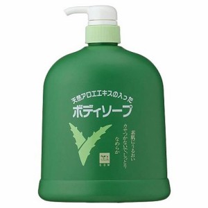 牛乳石鹸 カウブランド アロエボディソープ ポンプ付(1.2L)[ボディソープ]