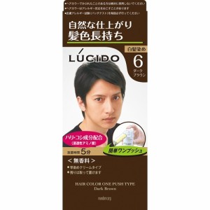 ルシード ワンプッシュケアカラー 6 ダークブラウン(50g+50g)[白髪染め 男性用]