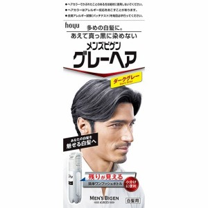 メンズビゲン グレーヘア ダークグレー(40g+40g)[白髪染め 男性用]