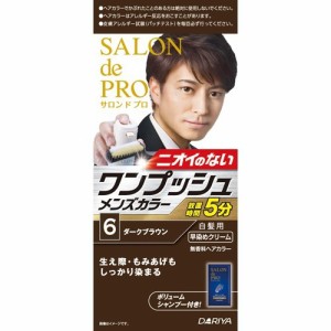 サロンドプロ ワンプッシュメンズヘアカラー 6 ダークブラウン(1セット)[白髪染め 男性用]