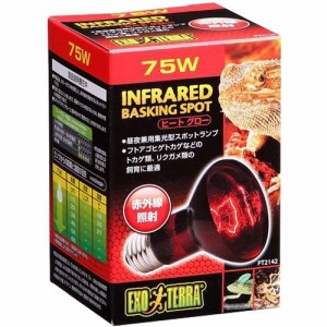 エキゾテラ ヒートグロー 赤外線照射スポットランプ 75W PT2142(1コ入)[は虫類]