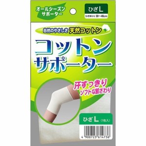 コットンサポーター ひざ L(1コ入)[膝サポーター]