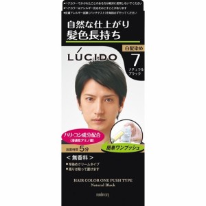 ルシード ワンプッシュケアカラー 7 ナチュラルブラック(50g+50g)[白髪染め 男性用]