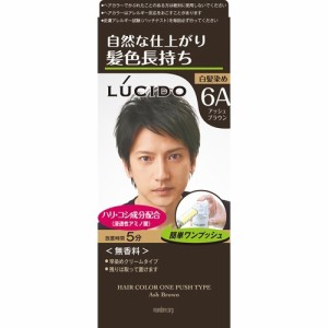 ルシード ワンプッシュケアカラー アッシュブラウン(50g+50g)[白髪染め 男性用]