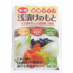 海の精 浅漬けのもと 液体タイプ(100g(10g*10包))[調味料 その他]