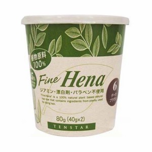 テンスター ファインヘナ ダークブラウン TFH-04N(40g*2コ入)[ヘナ]