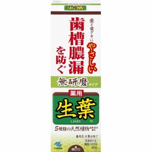 生葉 無研磨タイプ(95g)[歯周病・知覚過敏用歯磨き粉]