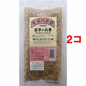 尾田川農園 岩手の丸麦(150g*2個セット)[麦]