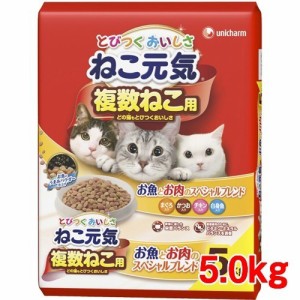 ねこ元気 複数ねこ用 お魚とお肉のスペシャルブレンド(5kg)[キャットフード(ドライフード)]